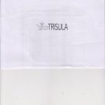 PT Bandar Trisula logo
