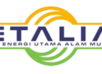 PT Energy Utama Alam Mulia logo
