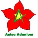 Anisa Adenium Nursery