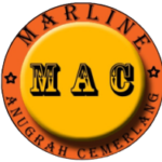 MAC CONSULTANT YOGYAKARTA logo