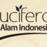 loker.id